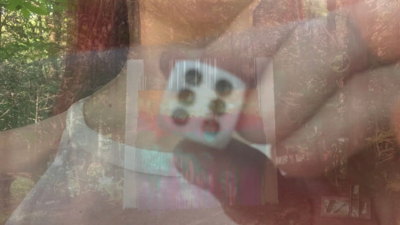 Light Dances Excerpt